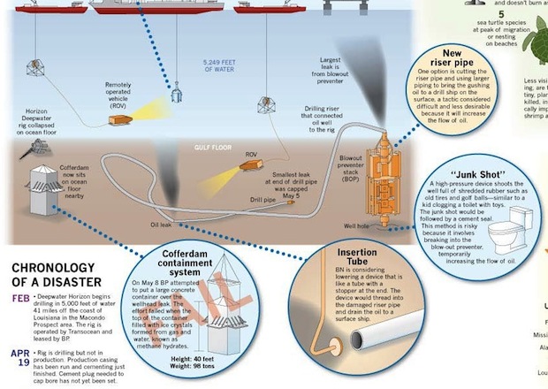 Gulf oil spill infographic